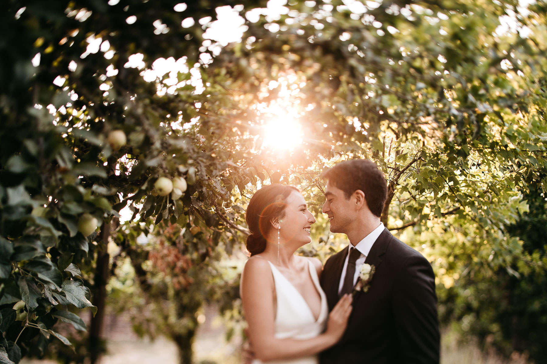 sebastopol-ca-summer-wedding-108