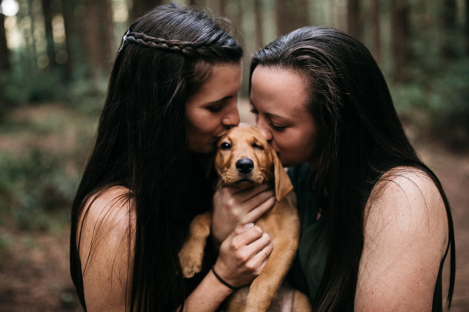 oakland-redwoods-new-puppy-session-labrador-21