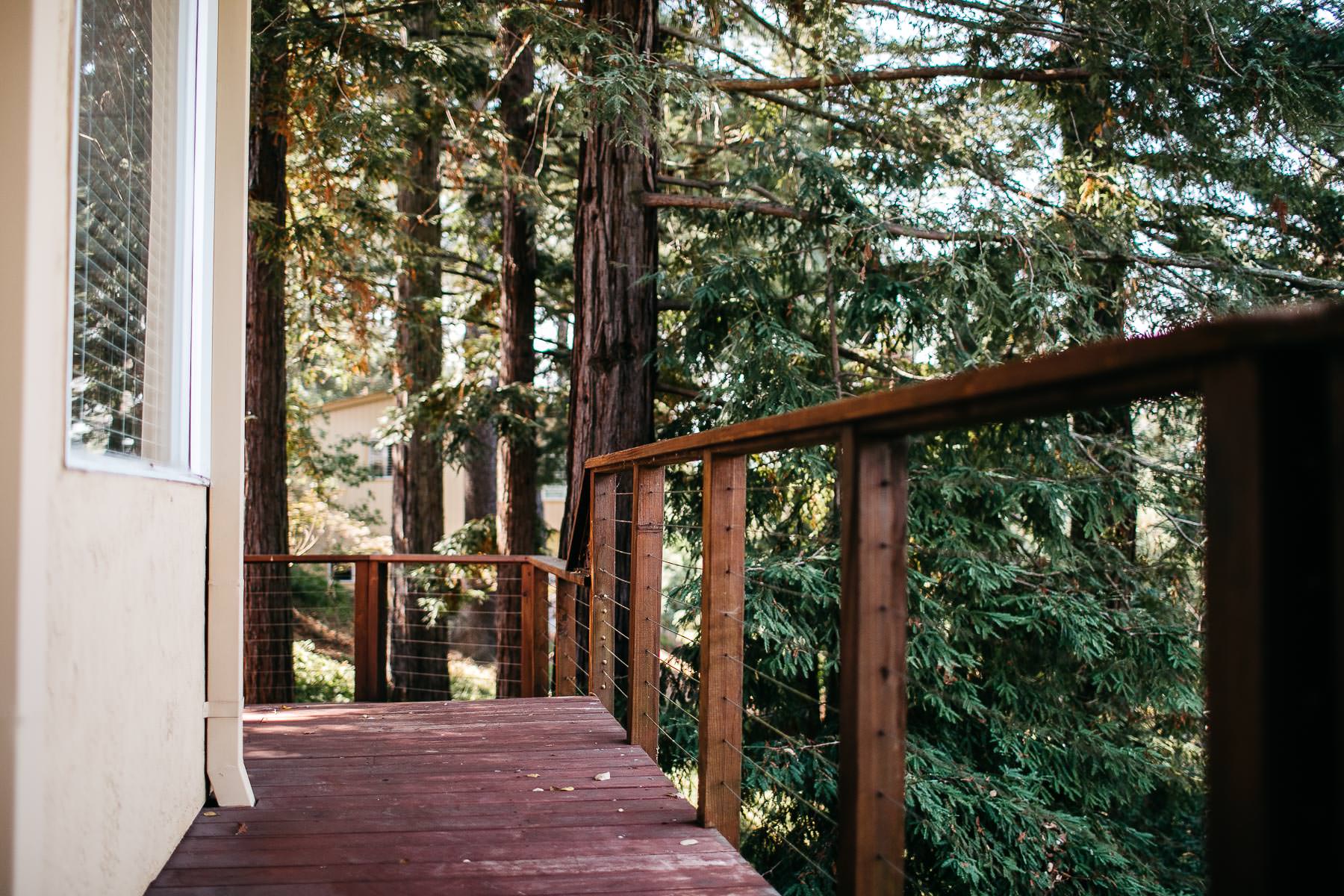 oakland-redwoods-summer-wedding-5