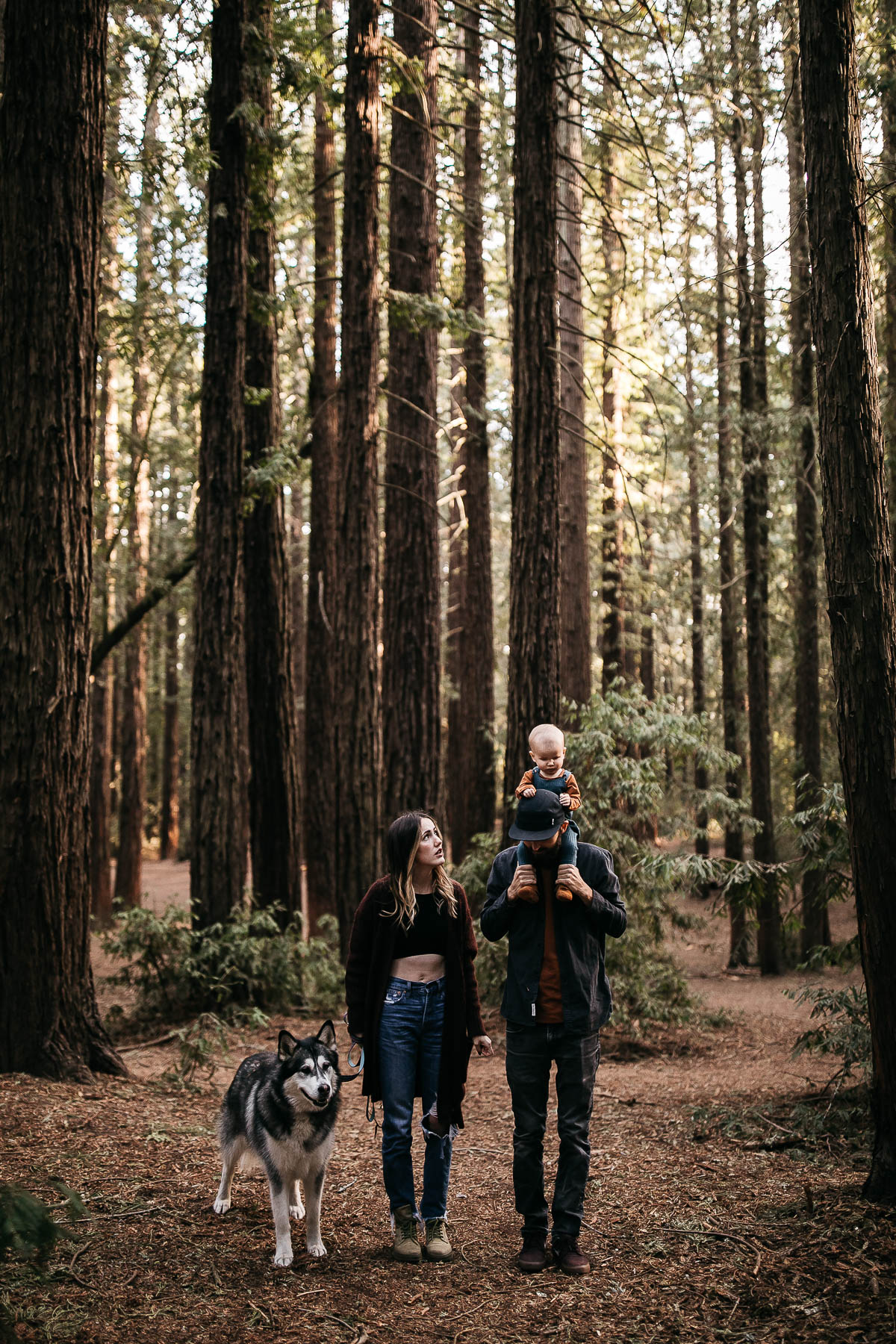 oakland-redwood-family-fall-session-joaquin-miller-park-9