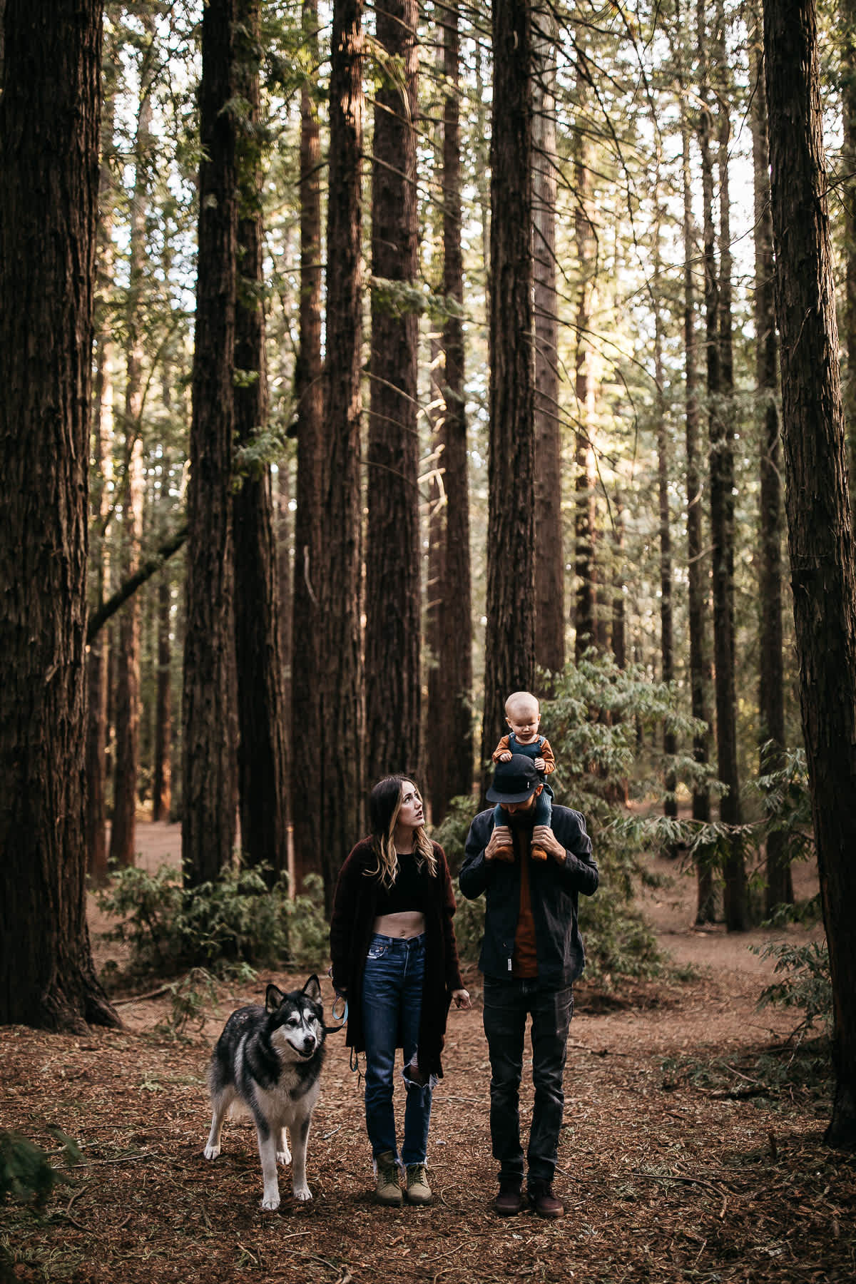 oakland-redwood-family-fall-session-joaquin-miller-park-9