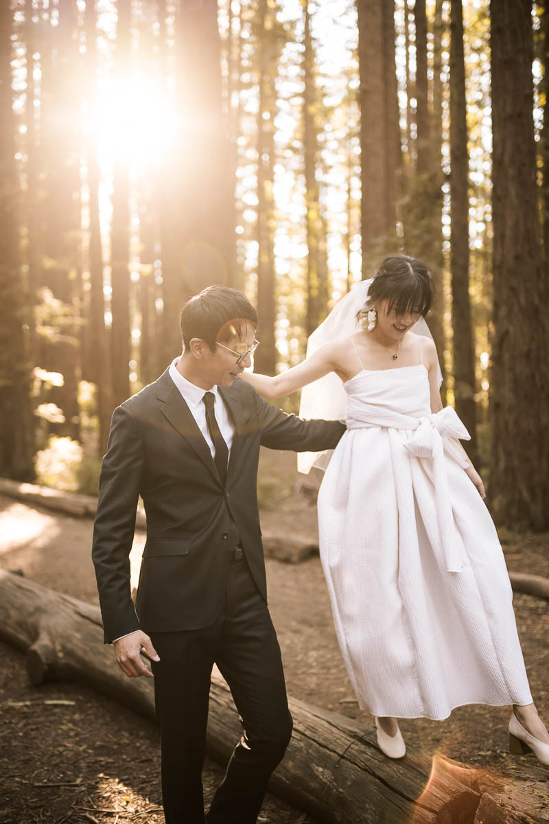sf-city-hall-redwoods-elopement-shiba-76