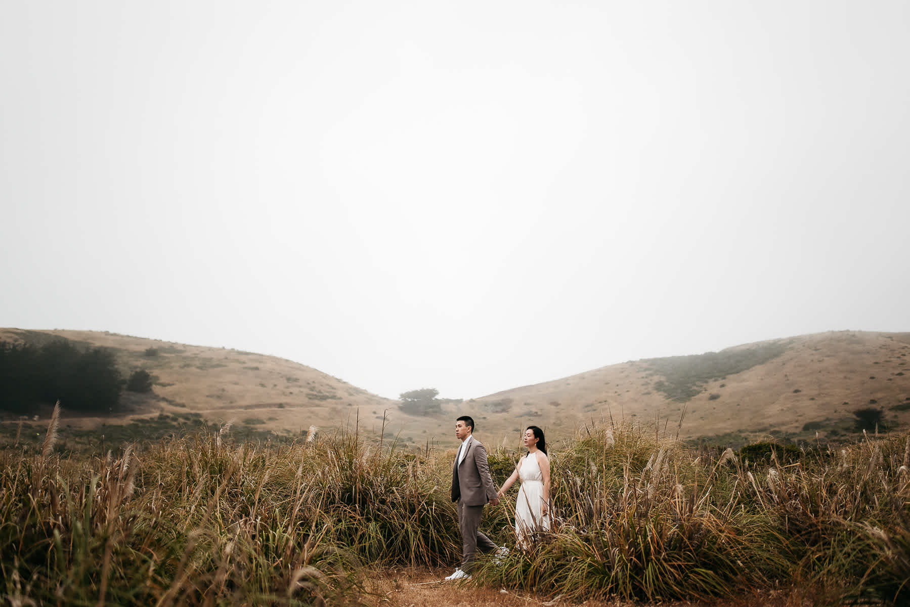redwoods-coastal-pampas-grass-lifestyle-engagement-session-with-pups-44