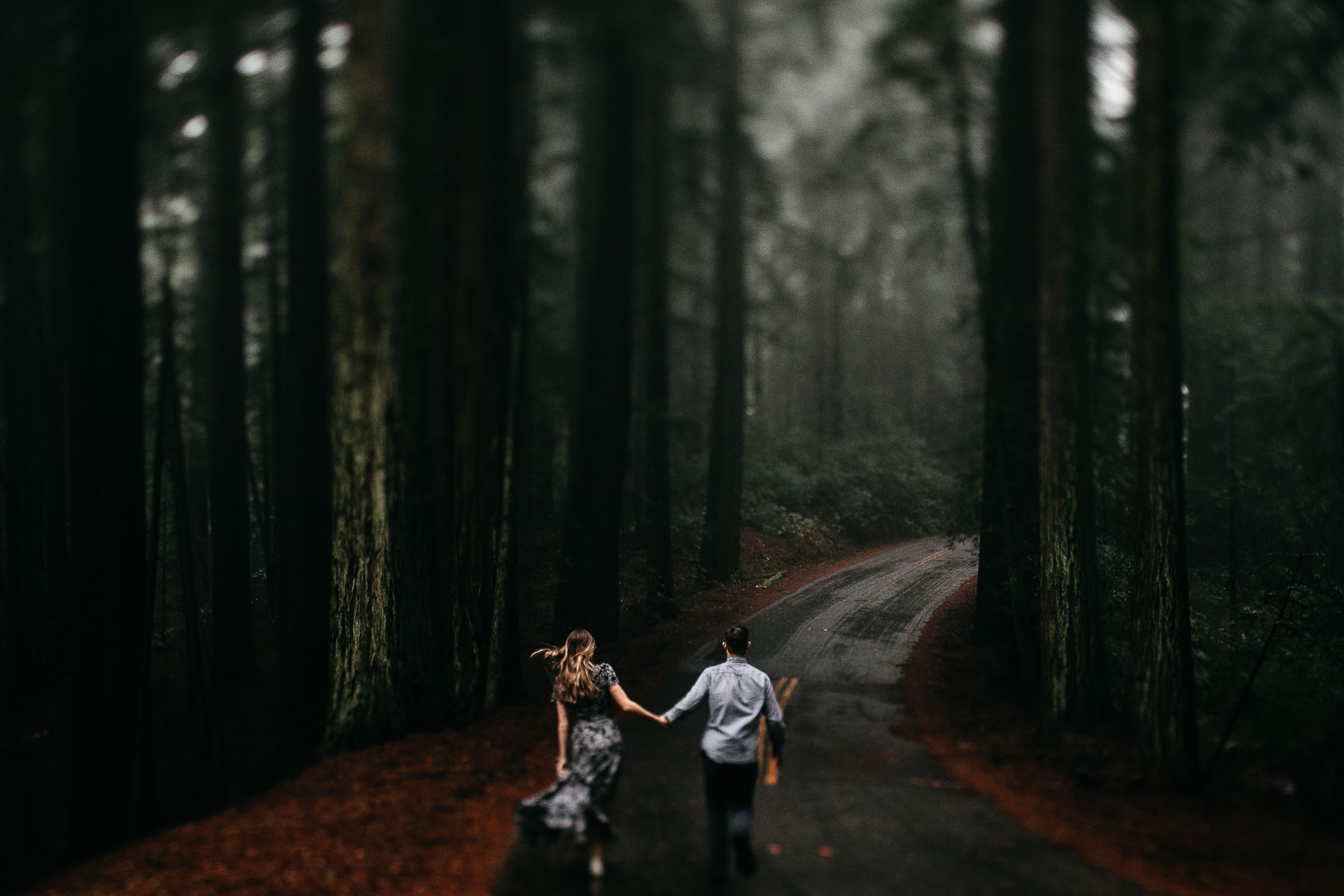 mt-tam-california-foggy-fall-engagement-hills-redwood-engagement-session-26