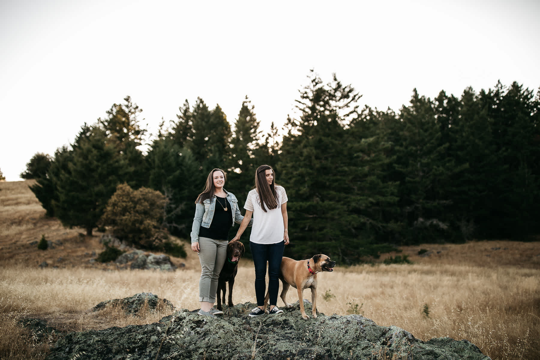 mt-tam-sunset-engagement-session-with-boxer-lab-dogs-27