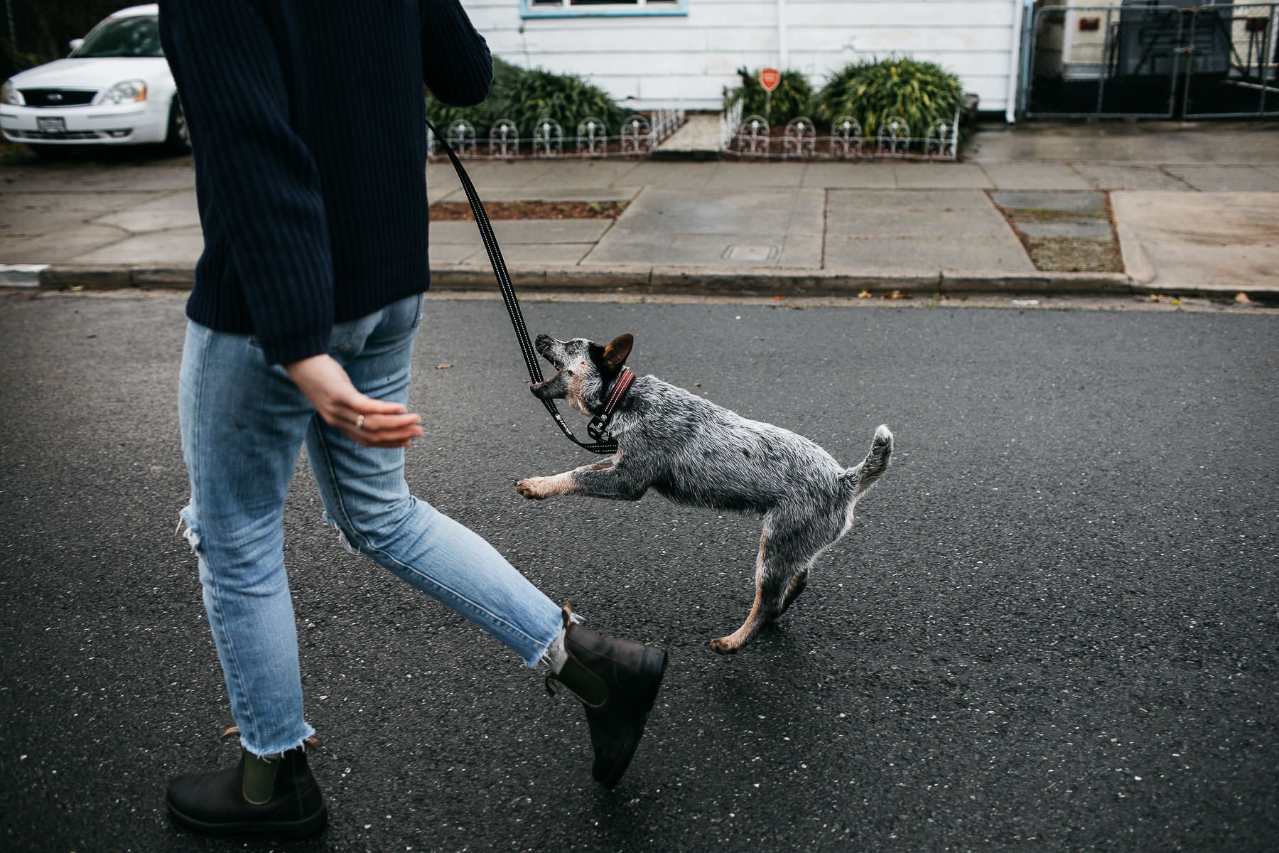 richmond-ca-family-session-cattledog-neighborhood-12
