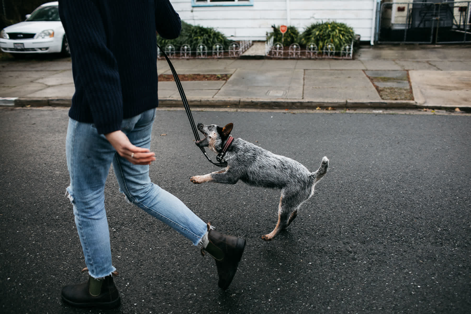 richmond-ca-family-session-cattledog-neighborhood-12