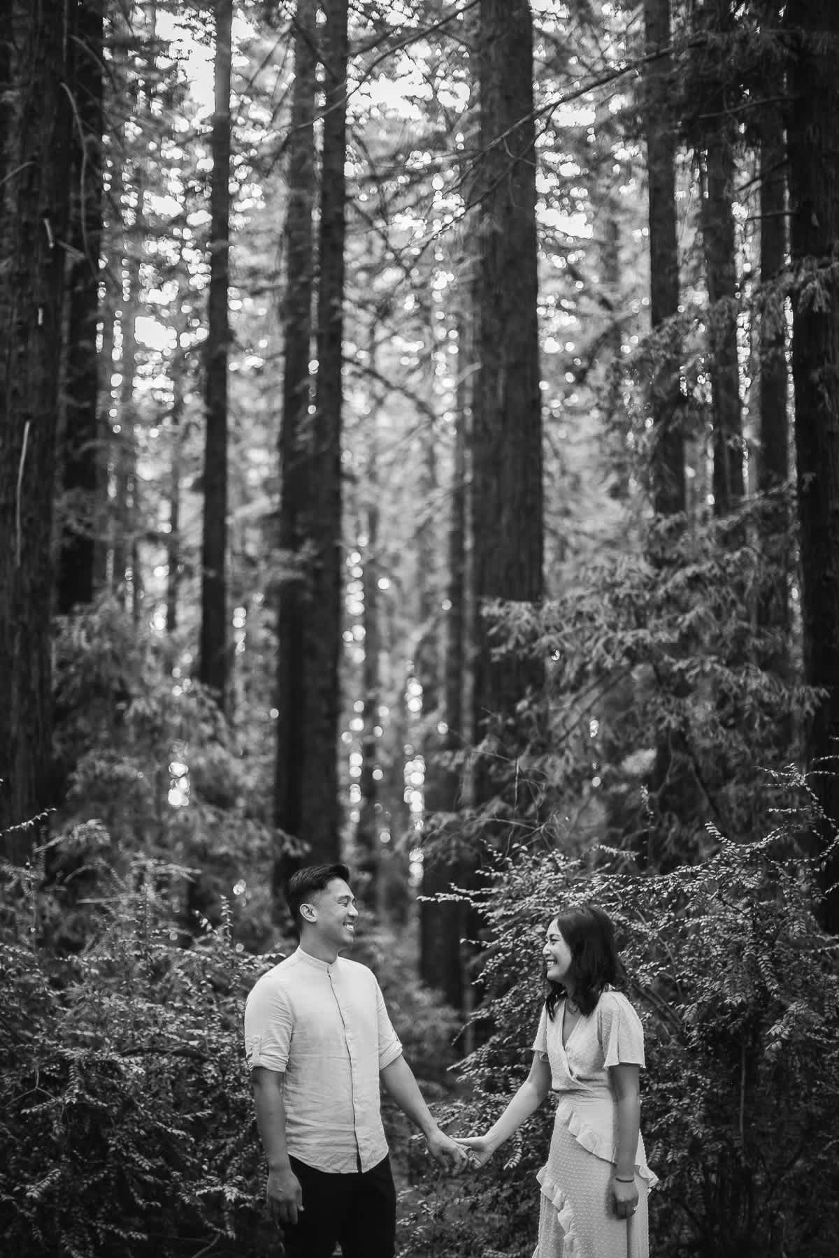 oakland-redwoods-fall-golden-light-engagement-session-1