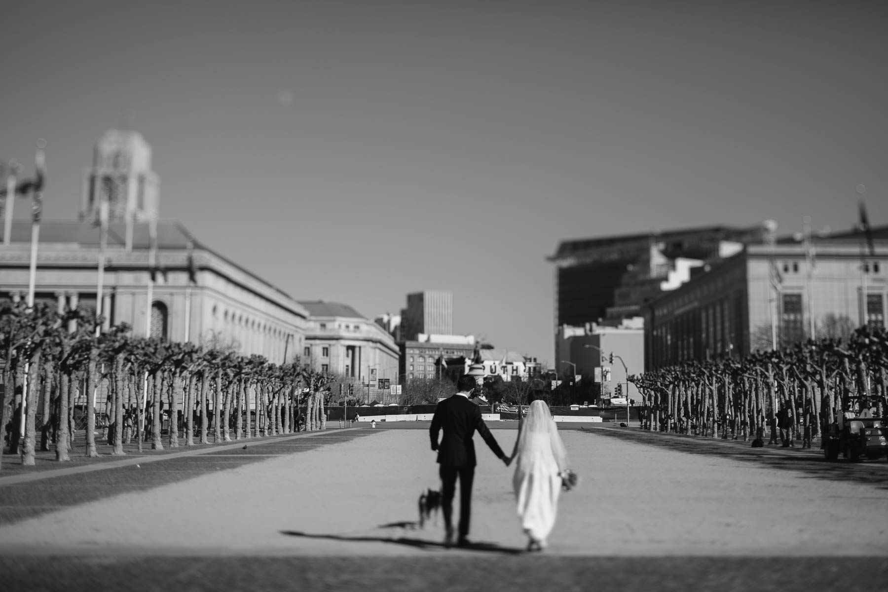 sf-city-hall-redwoods-elopement-shiba-55