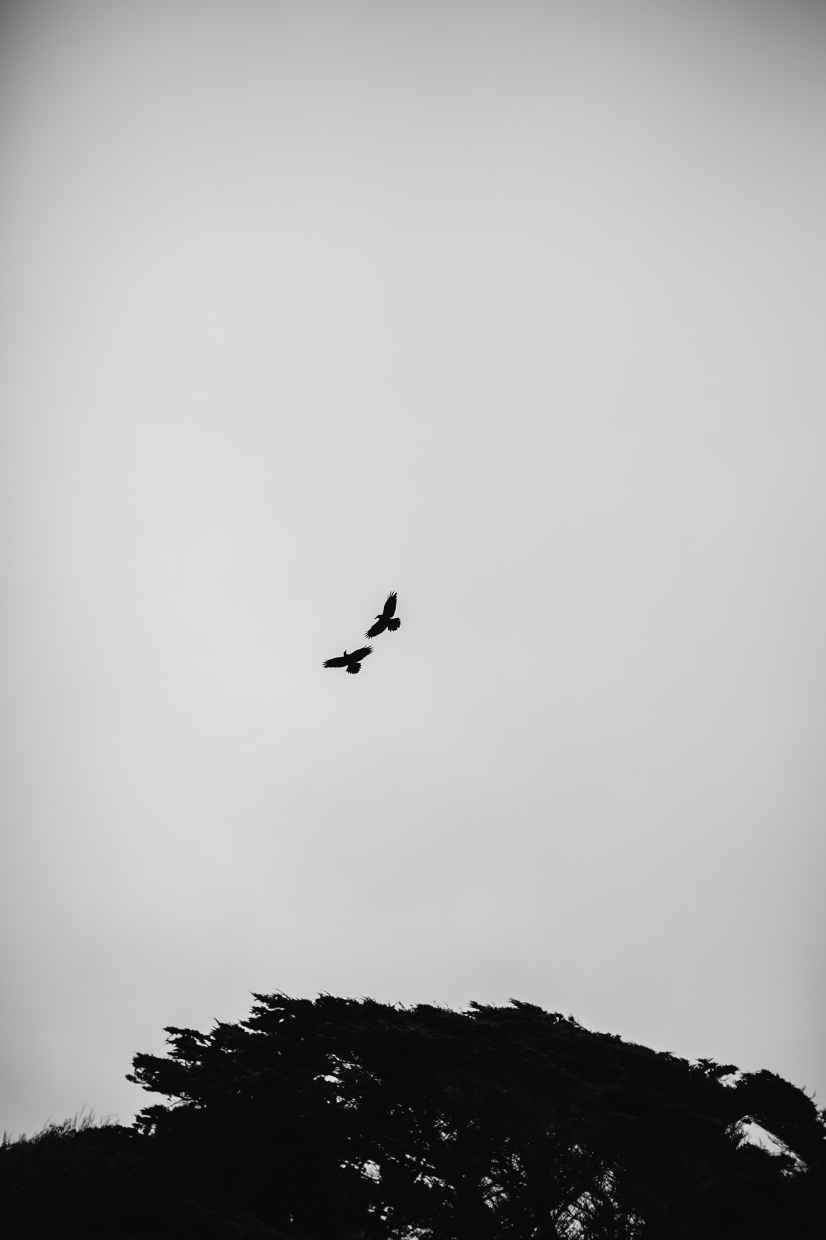 fort-funston-foggy-fun-beach-water-engagement-session-22
