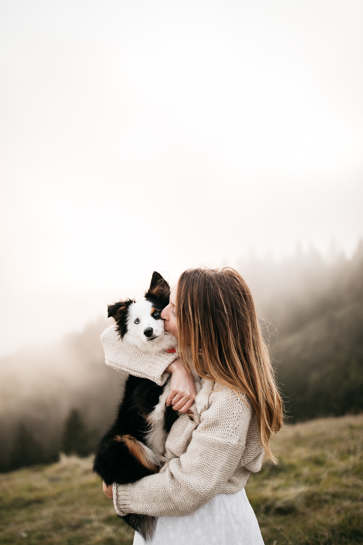 mt-tam-foggy-winter-engagement-session-australian-shepherd-puppy-33