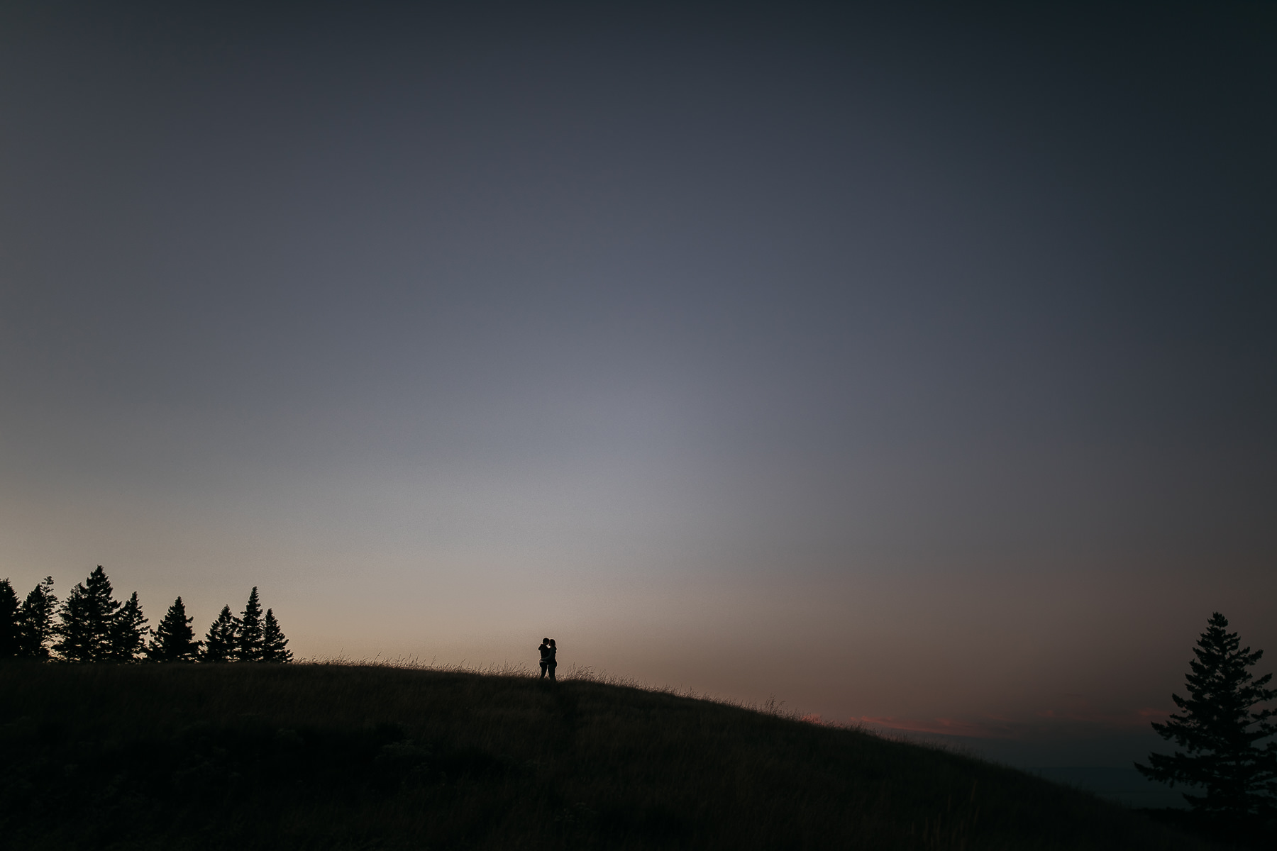 mt-tam-sunset-engagement-session-with-boxer-lab-dogs-42