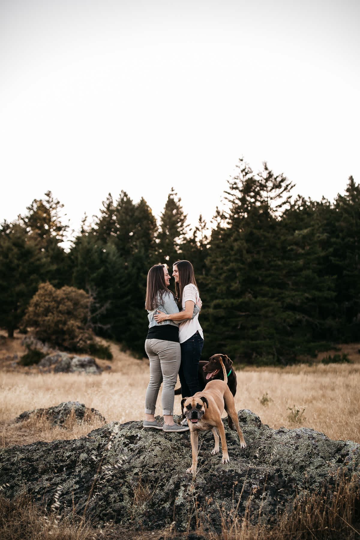 mt-tam-sunset-engagement-session-with-boxer-lab-dogs-28