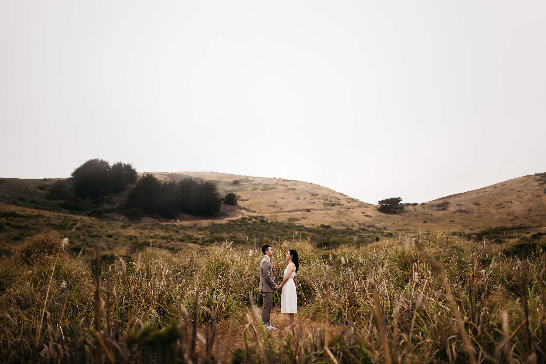 redwoods-coastal-pampas-grass-lifestyle-engagement-session-with-pups-27