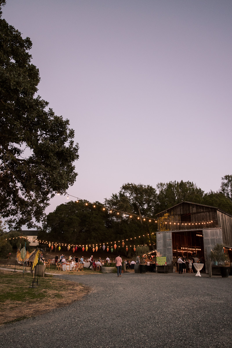 Monkey-ranch-petaluma-golden-hills-wedding-129