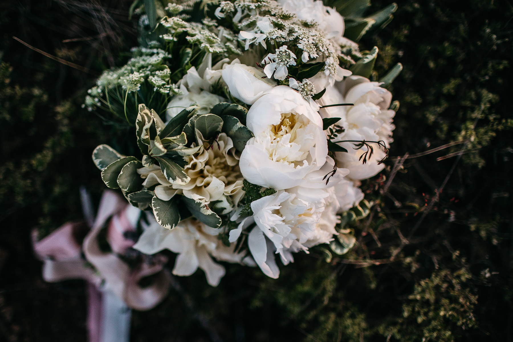 marin-headlands-redwood-golden-gate-bridge-engagement-session-23