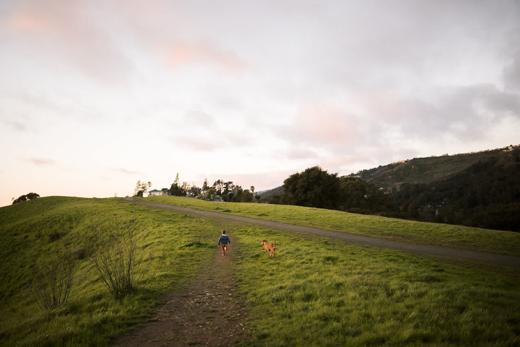 oakland-green-hills-winter-family-lifestyle-session-53