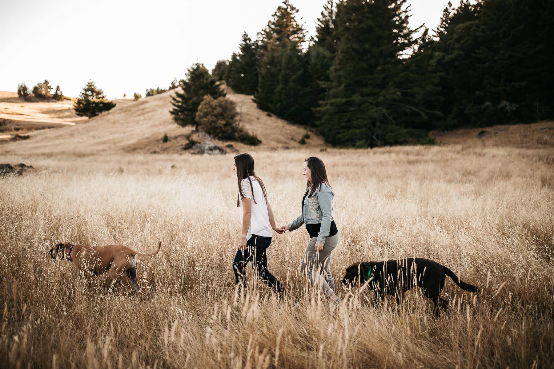 mt-tam-sunset-engagement-session-with-boxer-lab-dogs-26