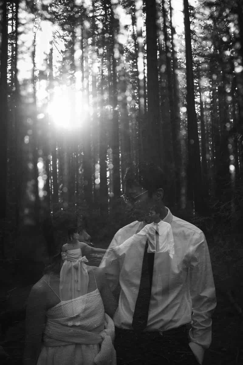 sf-city-hall-redwoods-elopement-shiba-83