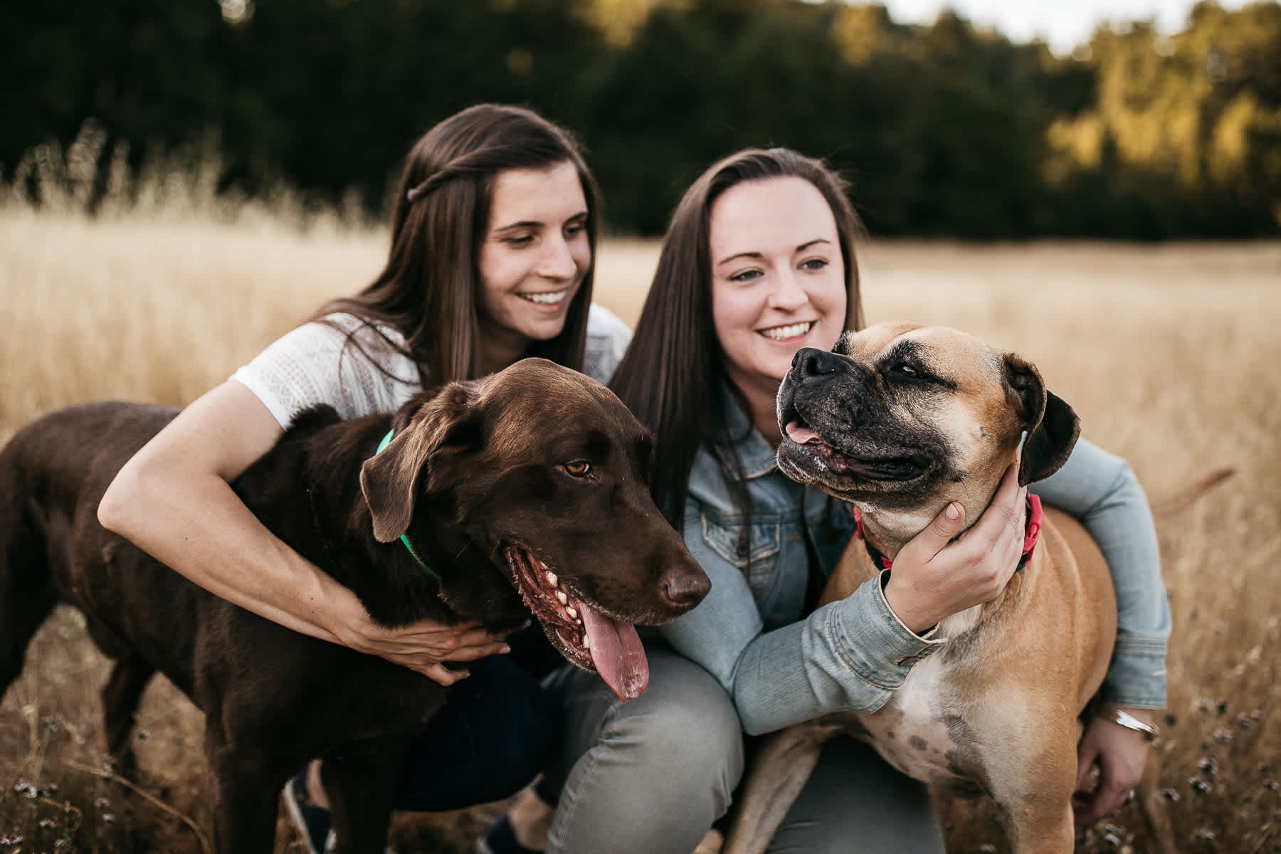 mt-tam-sunset-engagement-session-with-boxer-lab-dogs-22