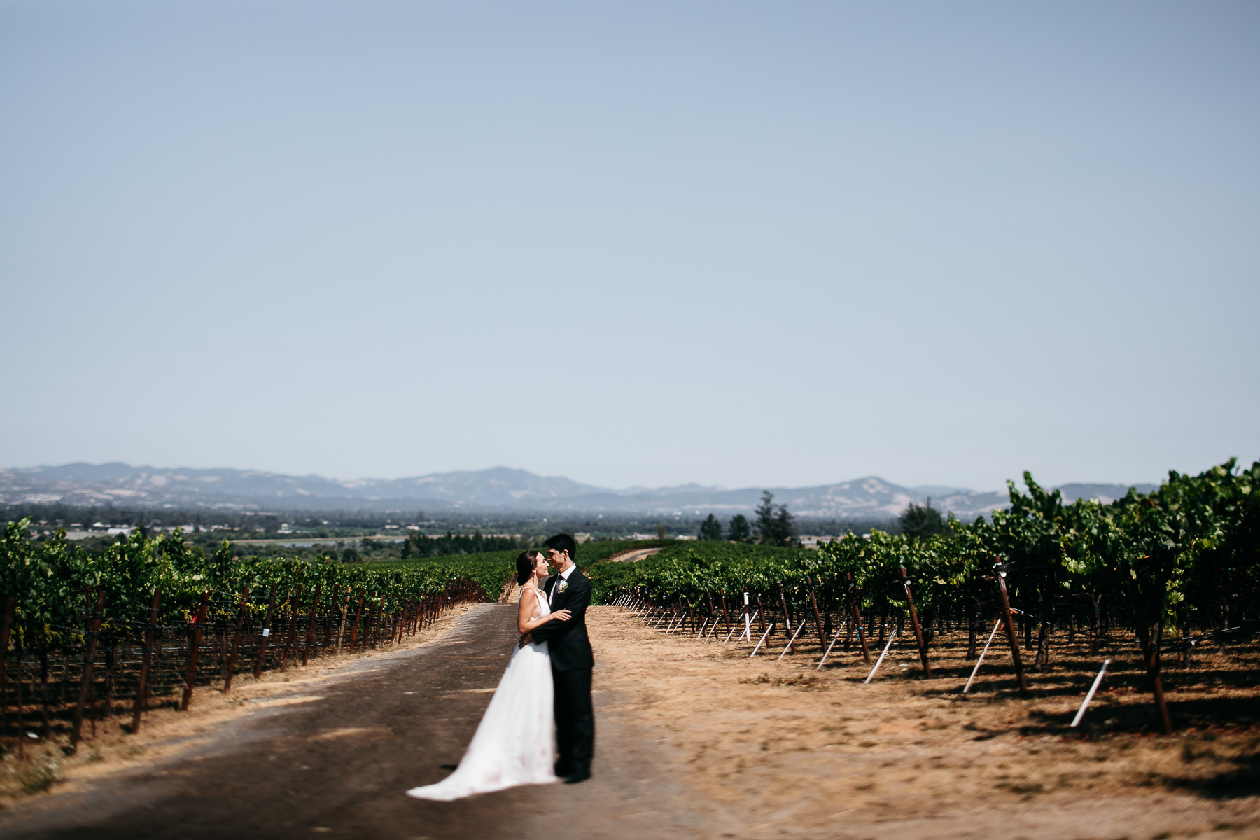sebastopol-ca-summer-wedding-53
