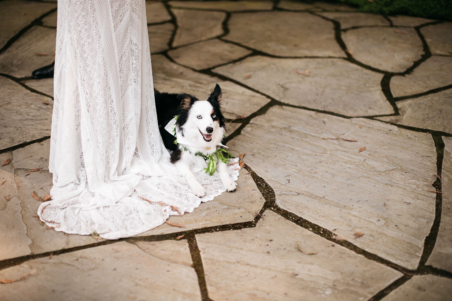 nestldown-micro-wedding-elopement-santa-cruz-sunset-54