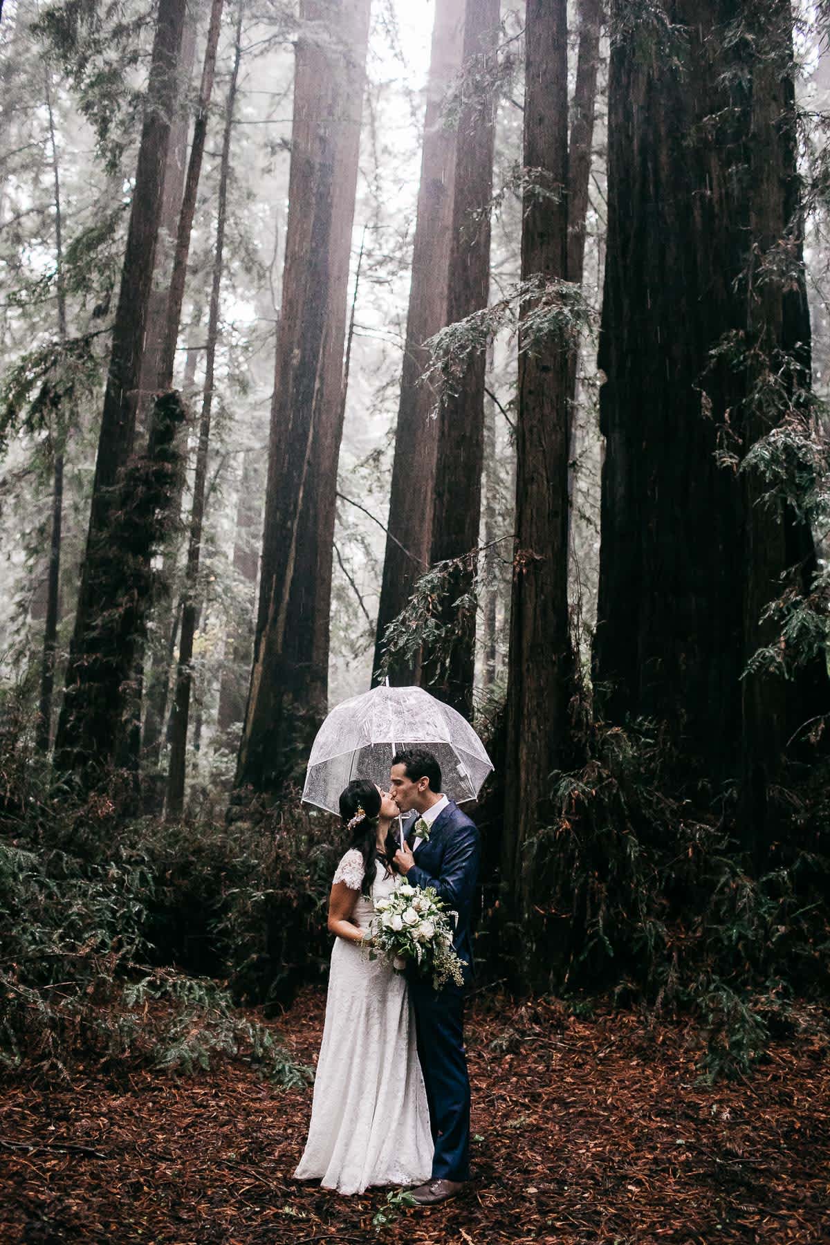santa-cruz-redwoods-henry-cowell-rainy-elopement-photographer-41