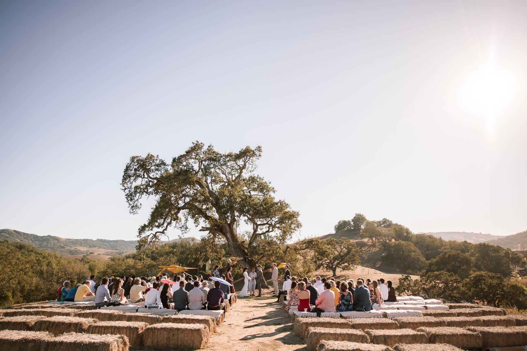 Monkey-ranch-petaluma-golden-hills-wedding-63