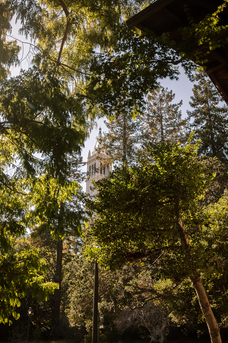 Berkeley-Faculty-Club-Intimate-Fall-wedding-11