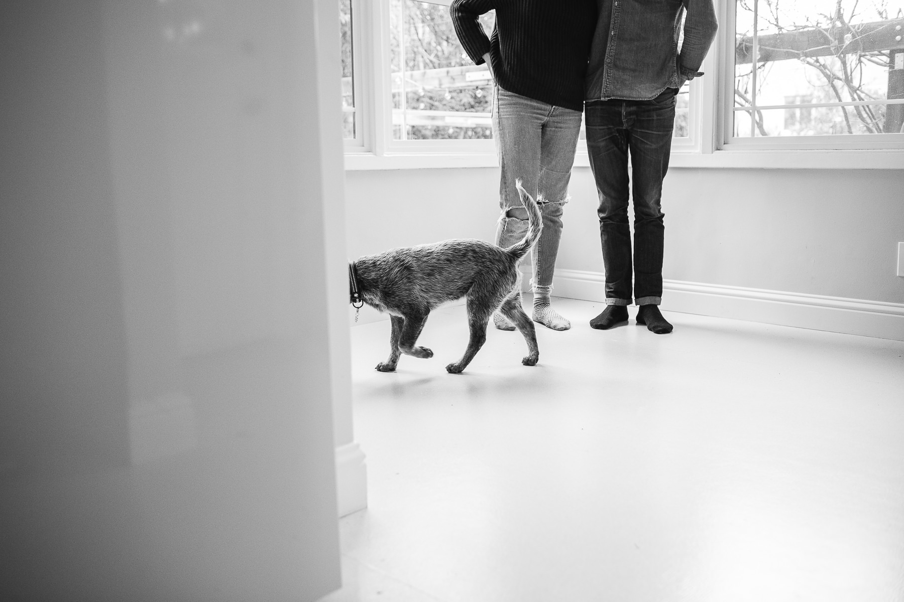 richmond-ca-family-session-cattledog-neighborhood-39