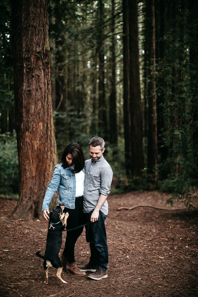 oakland-gloomy-redwood-engagement-session-with-puppy-3