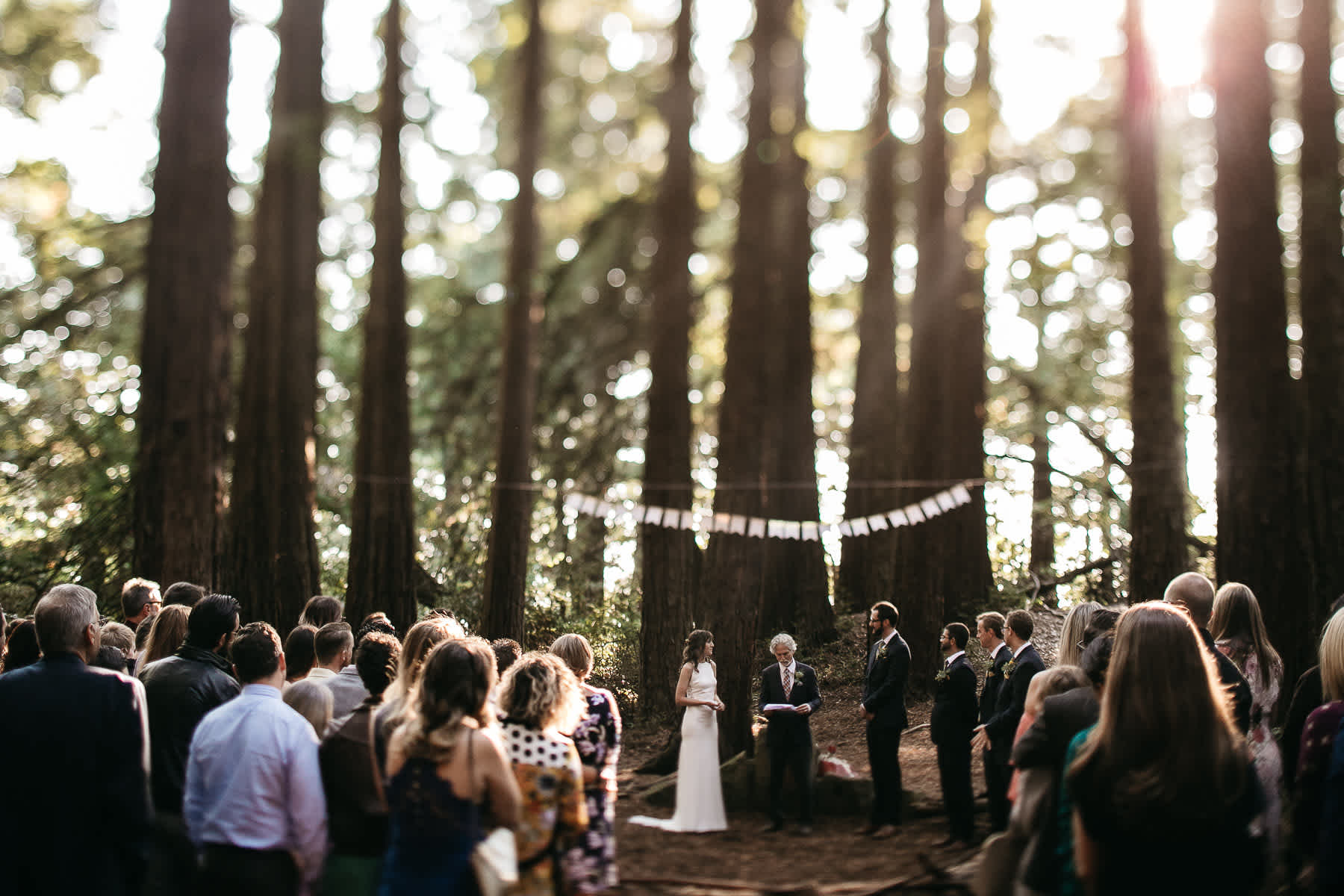 oakland-redwoods-summer-wedding-51
