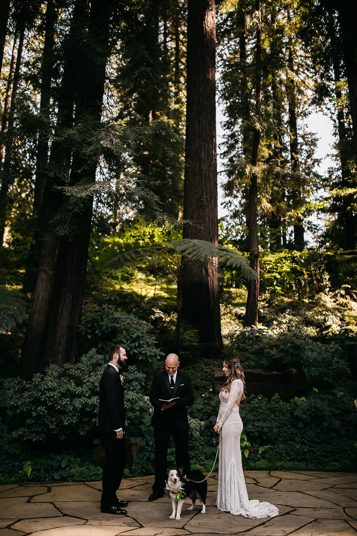 nestldown-micro-wedding-elopement-santa-cruz-sunset-50