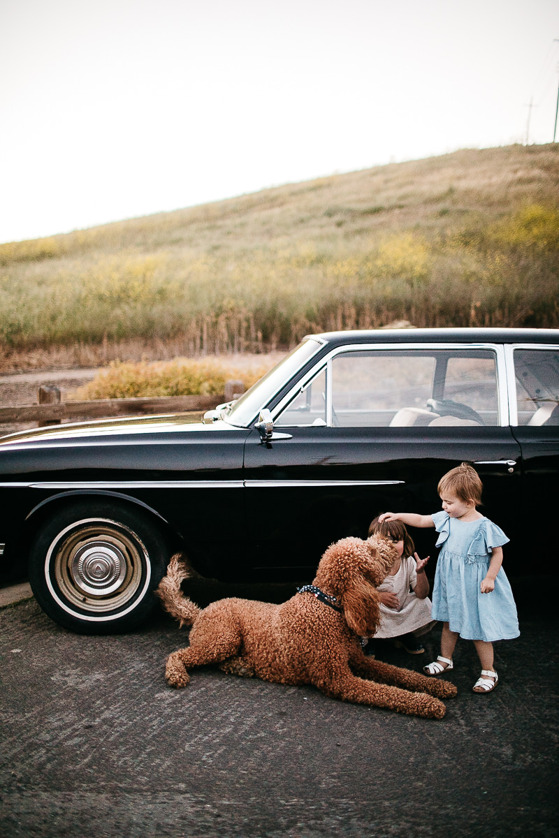 lime-ridge-concord-green-hills-vintage-car-lifestyle-session-65