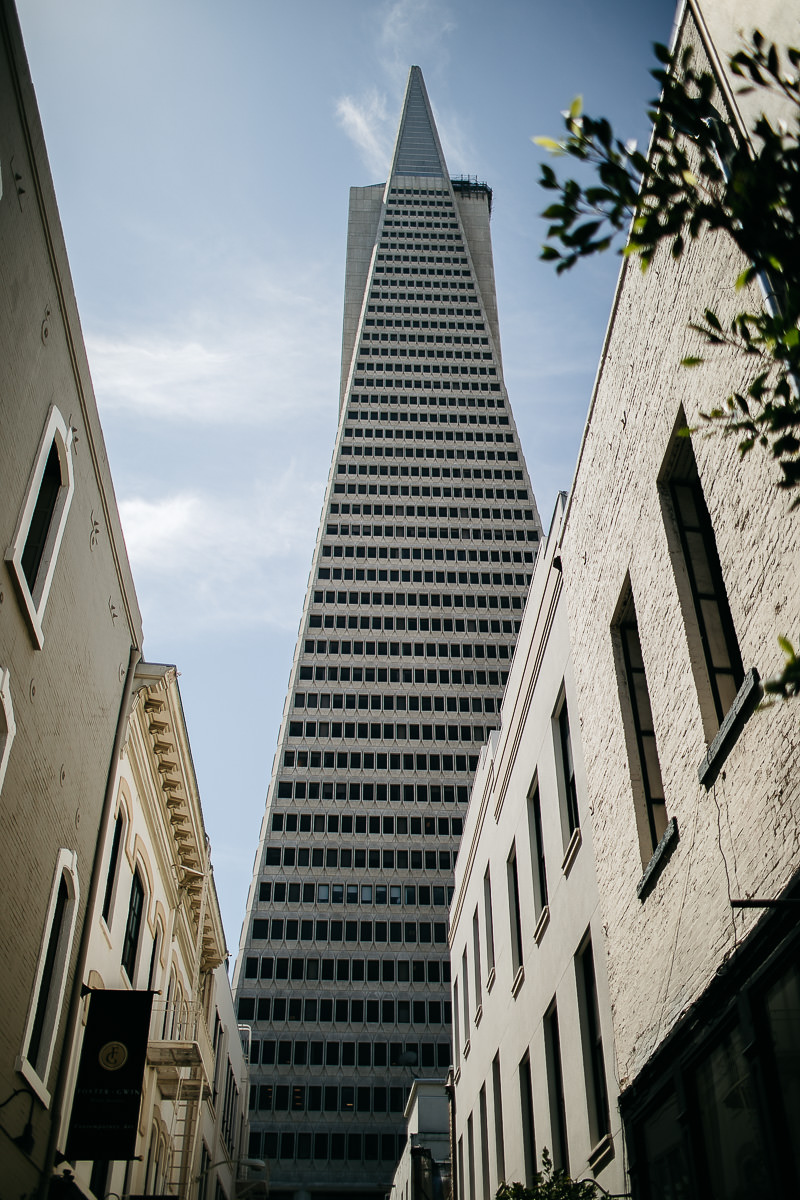 SF-city-hall-wedding-tartine-factory-urban-formals-2
