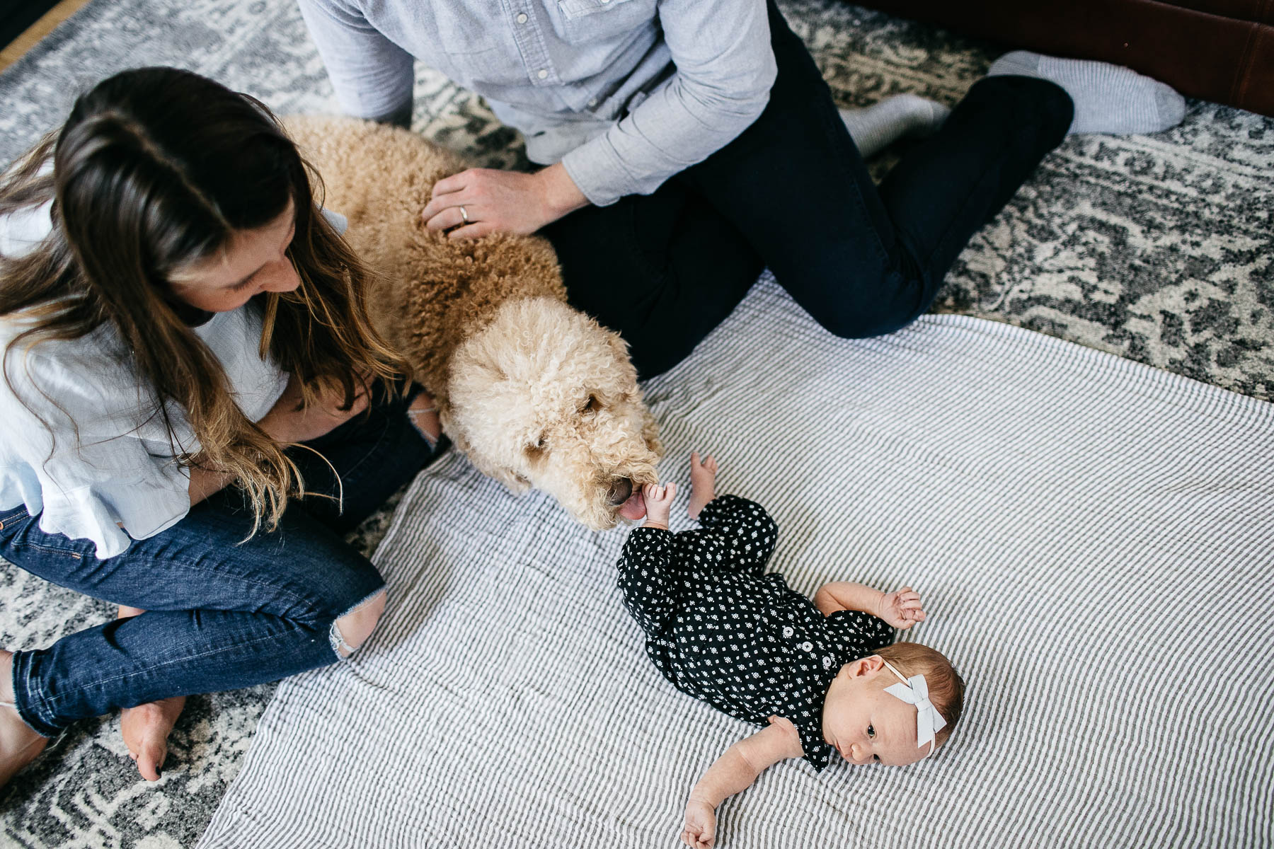 san-francisco-lifestyle-in-home-newborn-with-dog-19