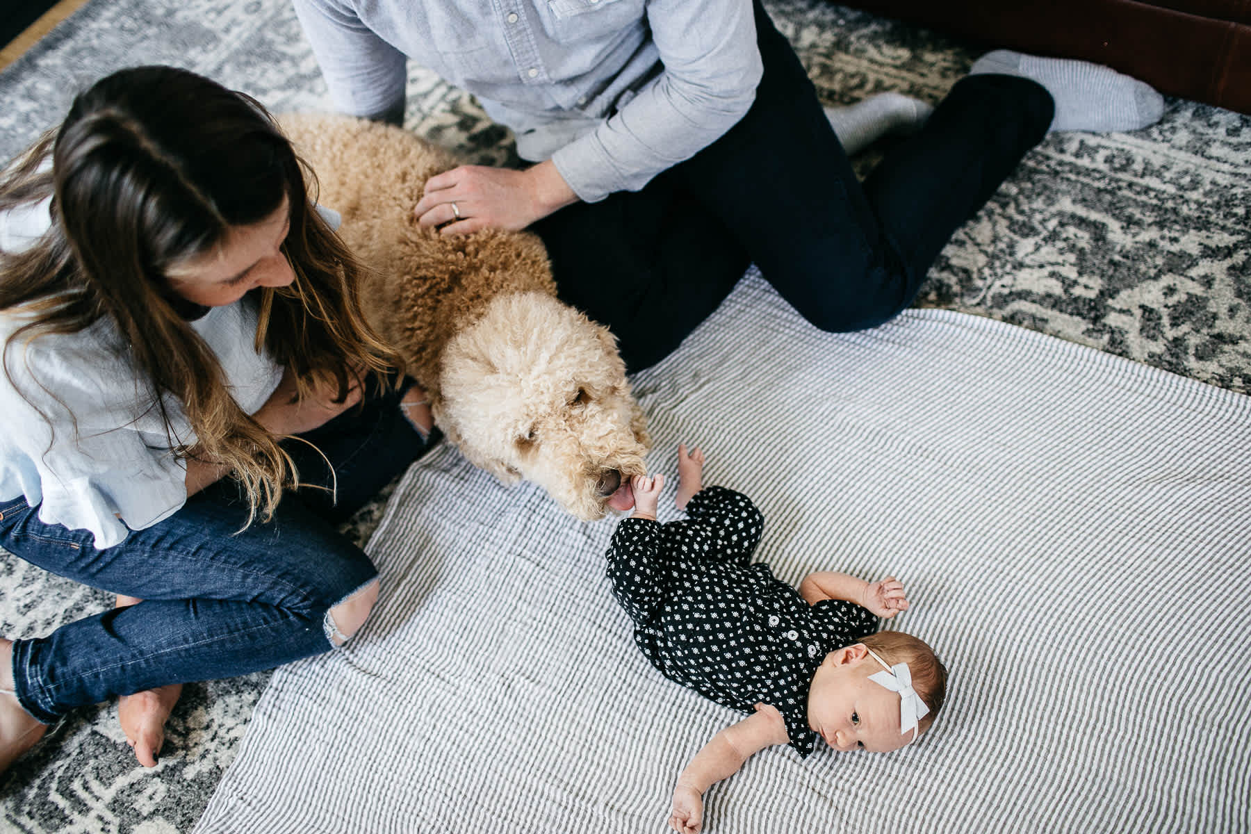 san-francisco-lifestyle-in-home-newborn-with-dog-19