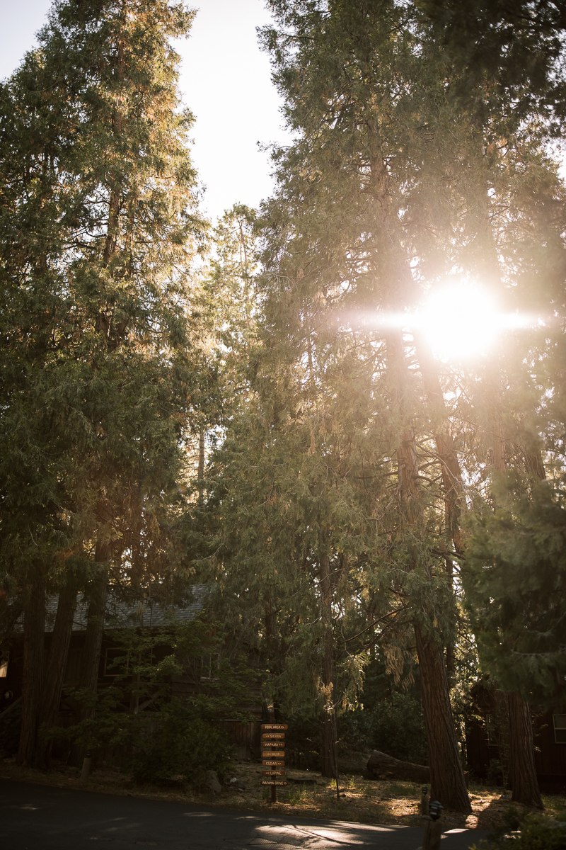 Evergreen-Lodge-Yosemite-Summer-wedding-155