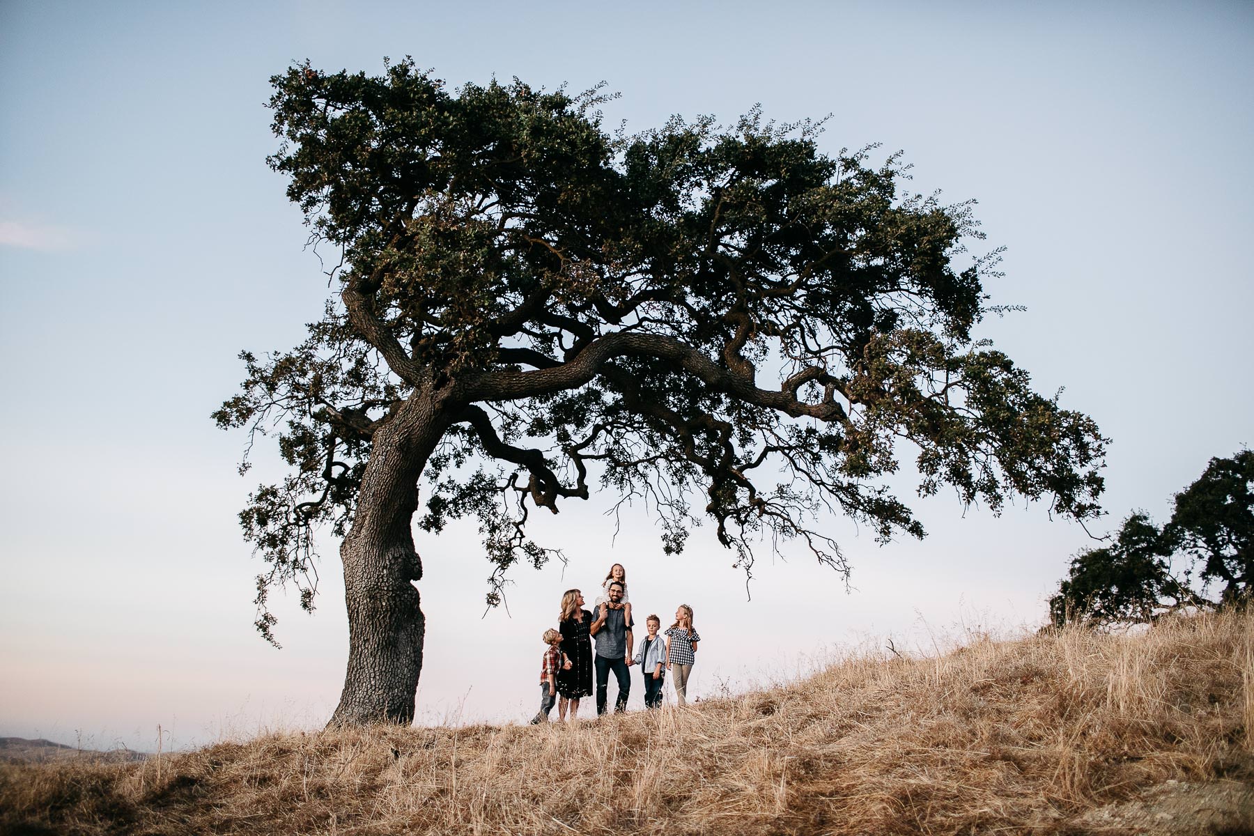 concord-golden-hill-california-fall-lifestyle-session-27