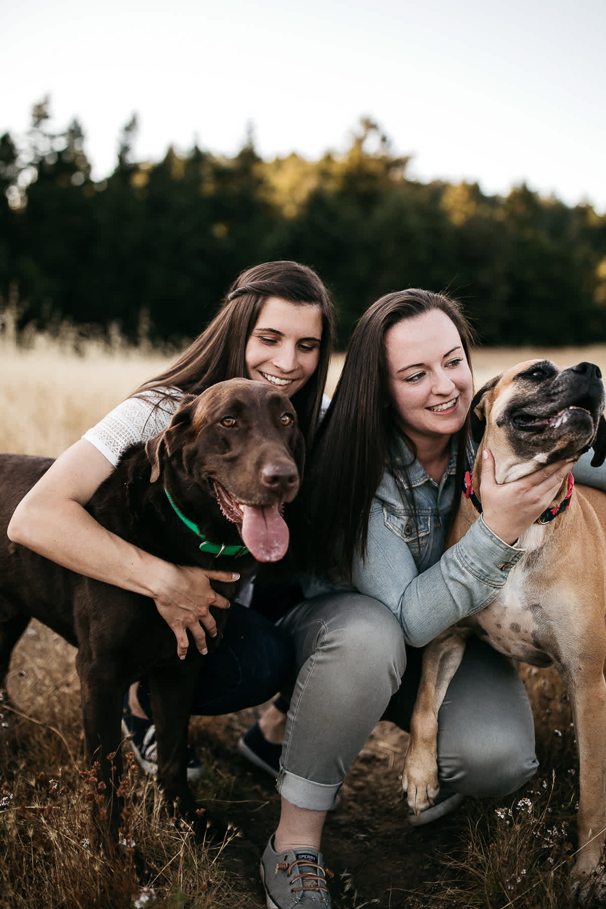 mt-tam-sunset-engagement-session-with-boxer-lab-dogs-23