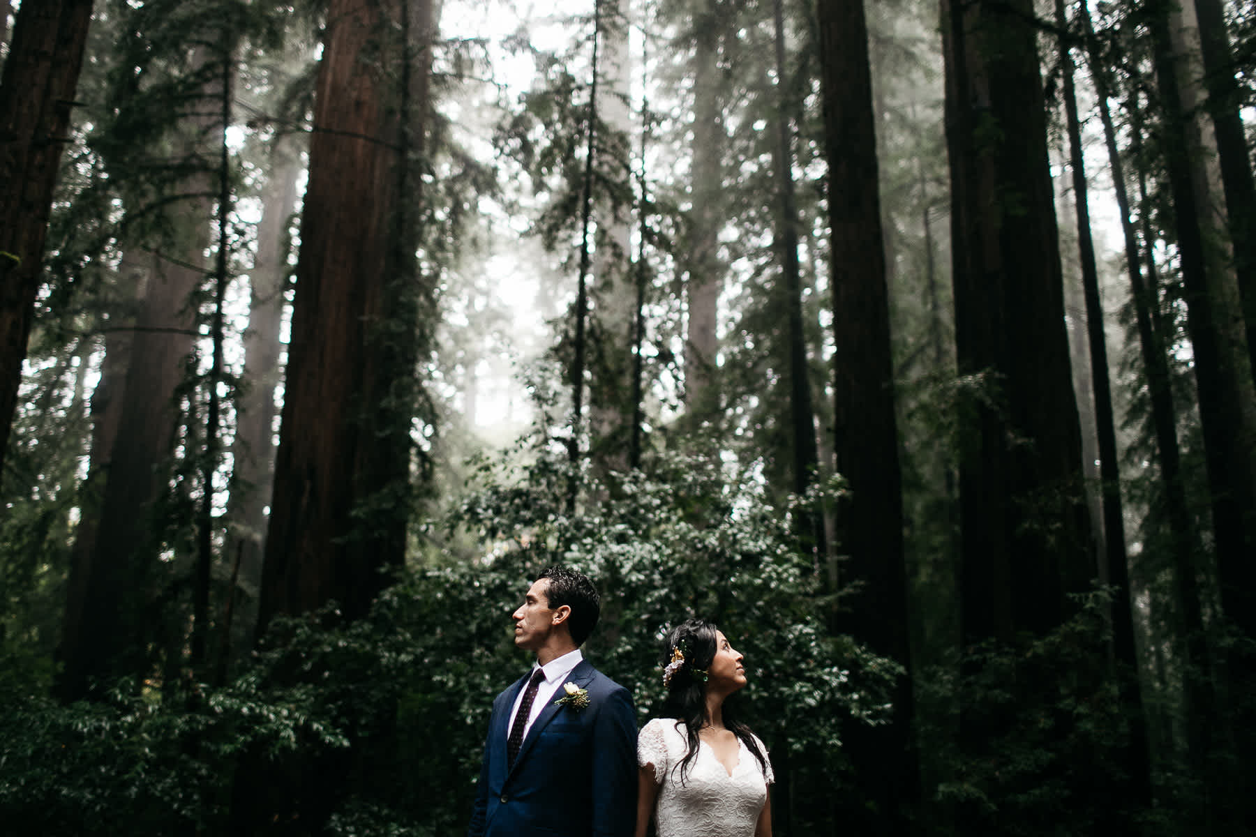 santa-cruz-redwoods-henry-cowell-rainy-elopement-photographer-87