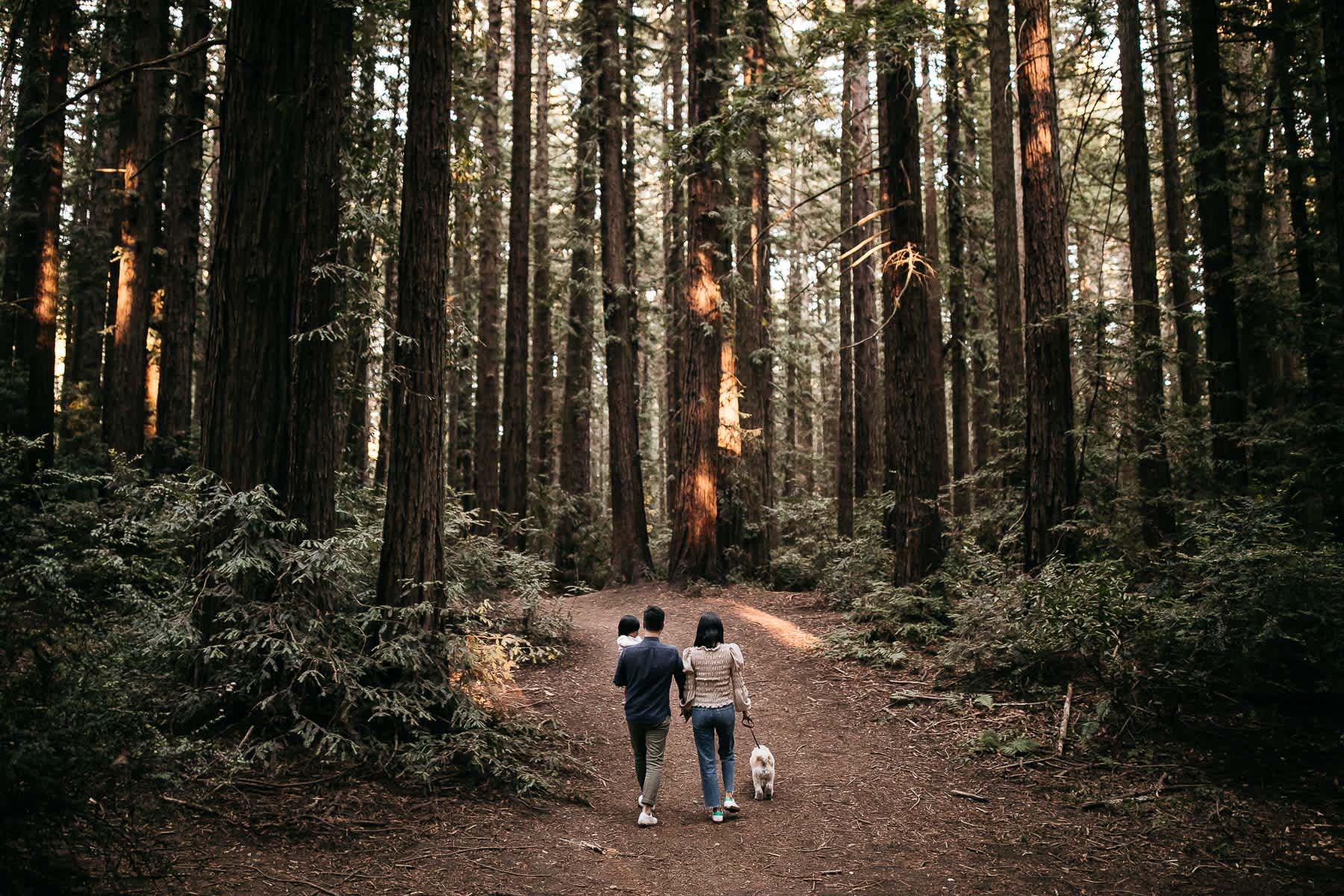 oakland-redwoods-lifestyle-first-birthday-session-12