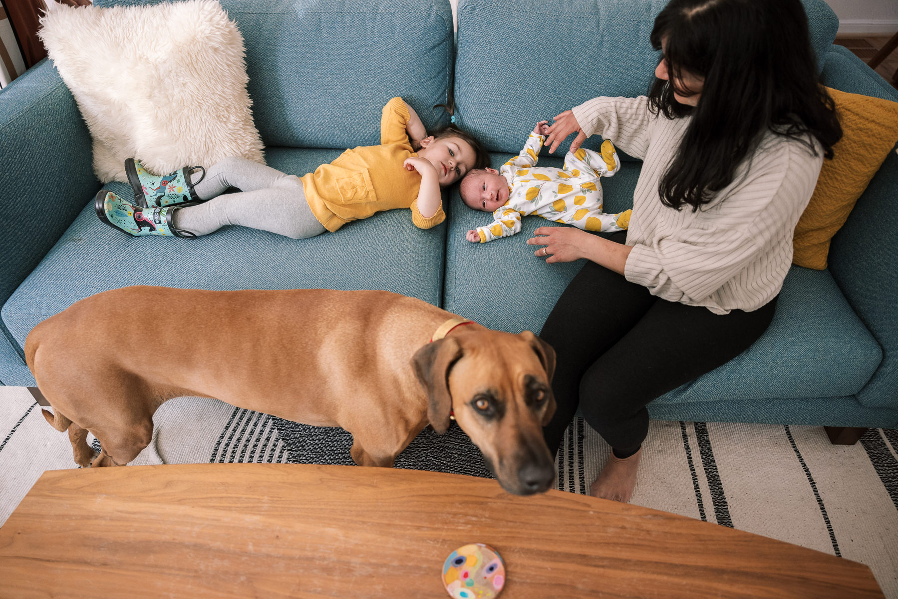 bay-area-in-home-lifestyle-newborn-session-49