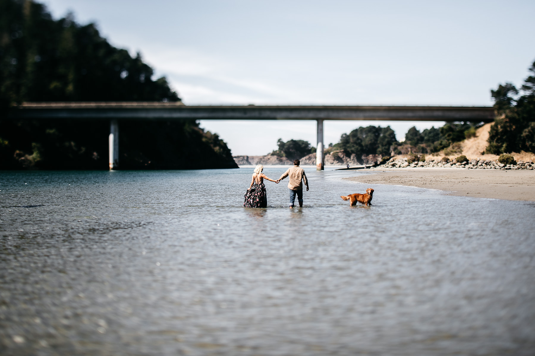 mendocino-grove-ca-glamping-waterside-anniversary-session-golden-retriever-50