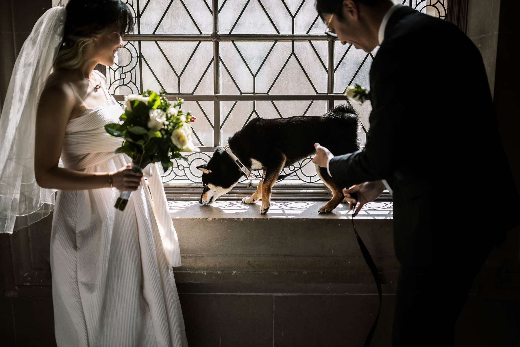 sf-city-hall-redwoods-elopement-shiba-26