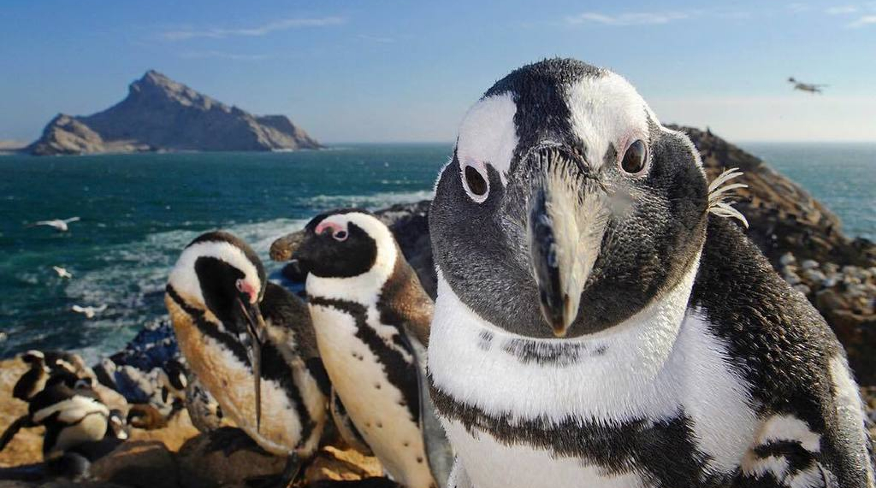 Luxury expedition cruise destination scenic view