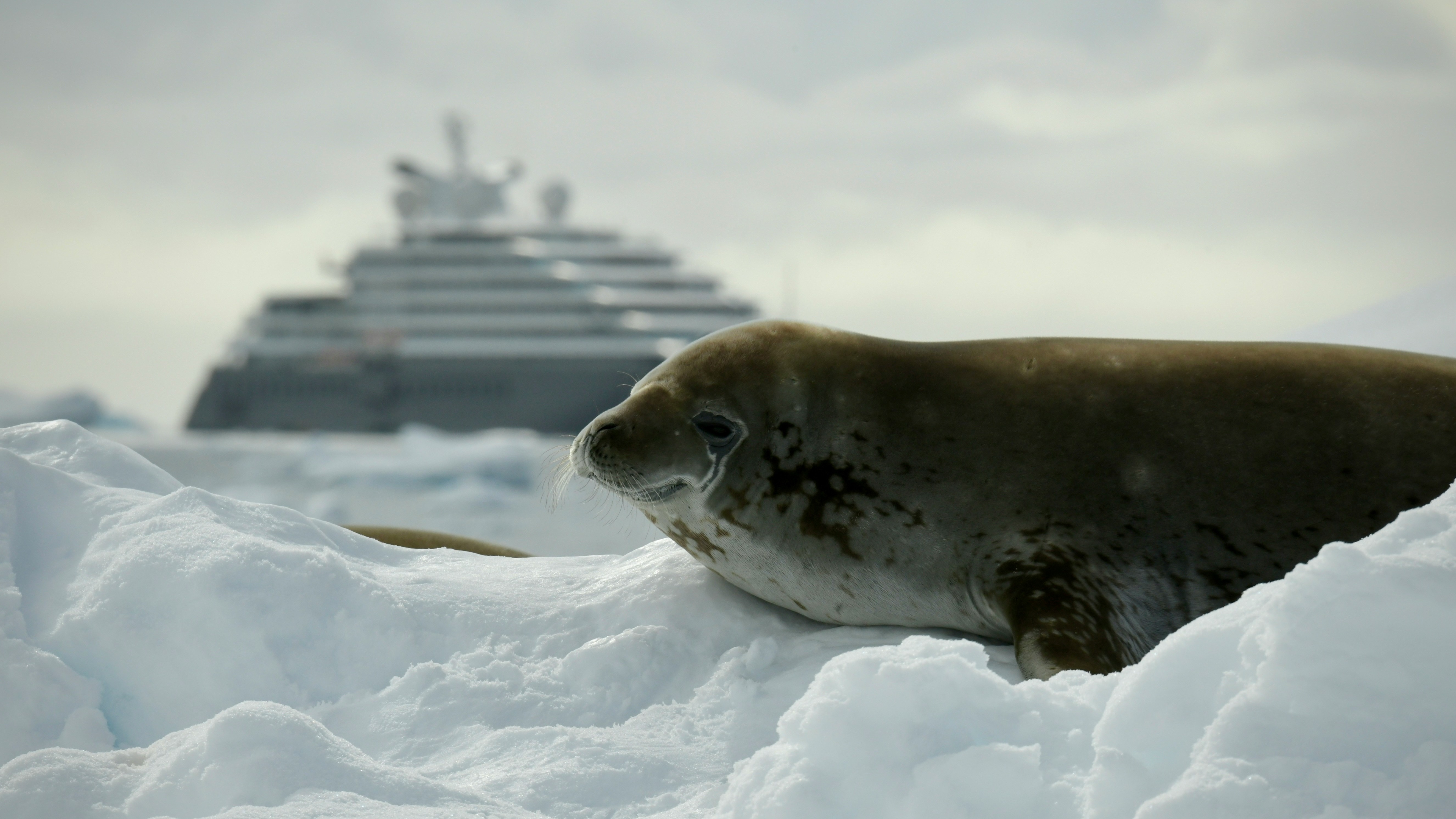 Luxury expedition cruise ship navigating pristine waters