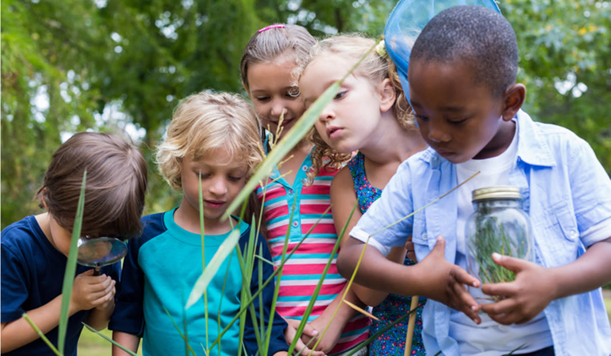Children learning outdoors