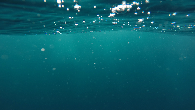 Picture taken just below the surface of the ocean to capture the bubbles and light particles.