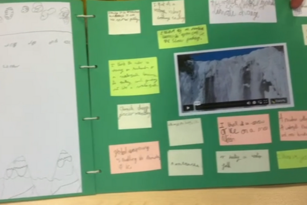 Video image